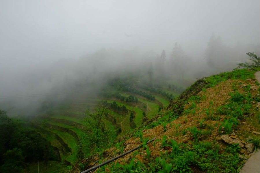 DSCF9591.jpg