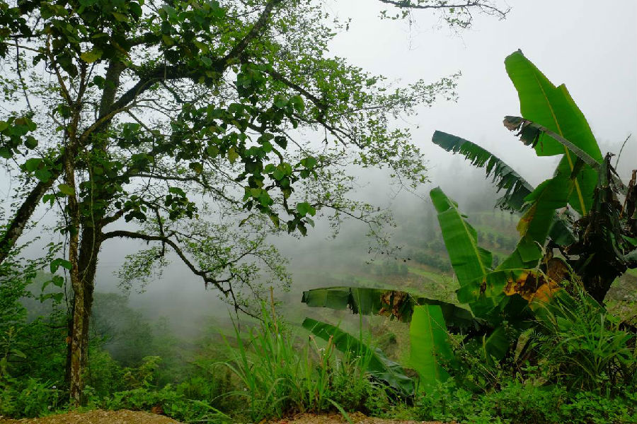 DSCF9595.jpg
